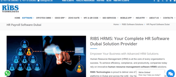 RIBS Technologies’s HRMS System